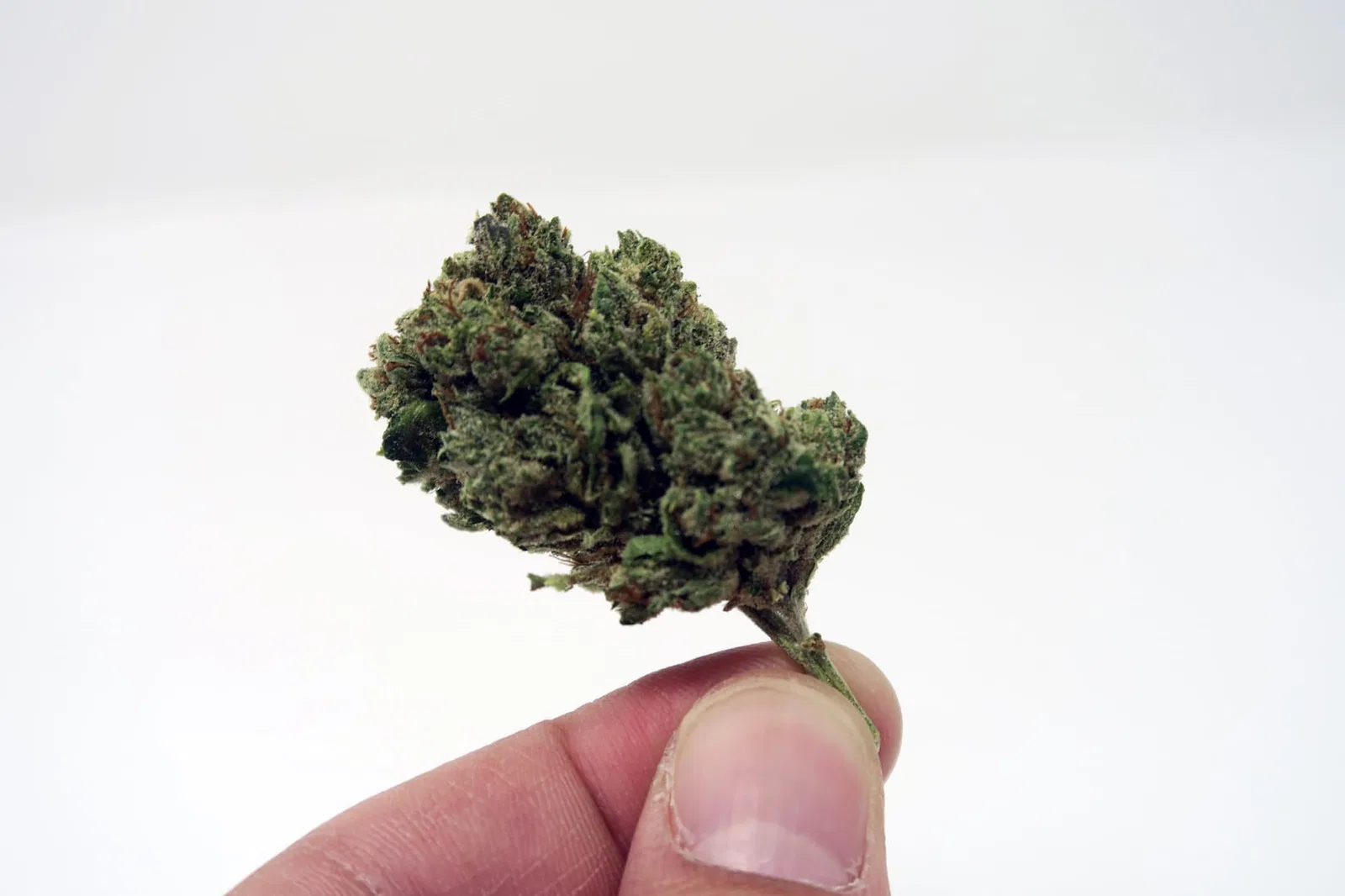 Headband cannabis flower from the original UK review archive.