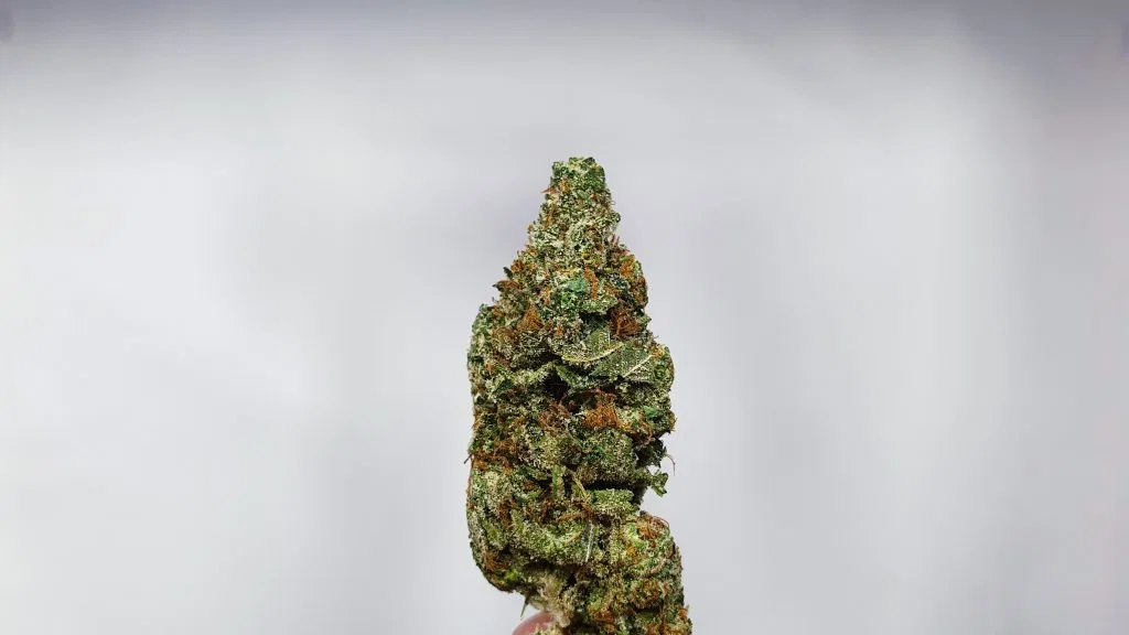 Hubba Bubba cannabis flower from the original UK review archive.