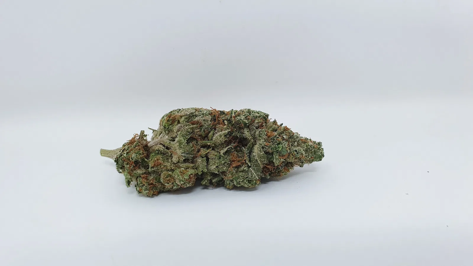Hubba Bubba