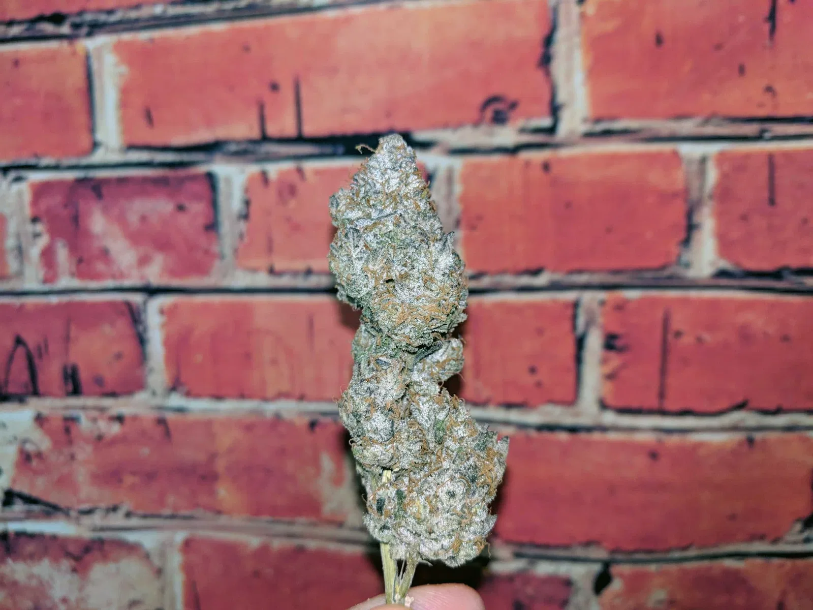 Ice Cream Cake cannabis flower from the original UK review archive.
