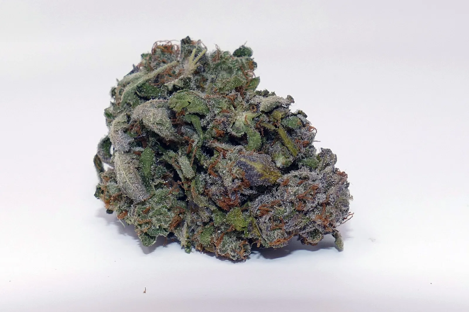 Jaffa Caked Cookies cannabis flower from the original UK review archive.