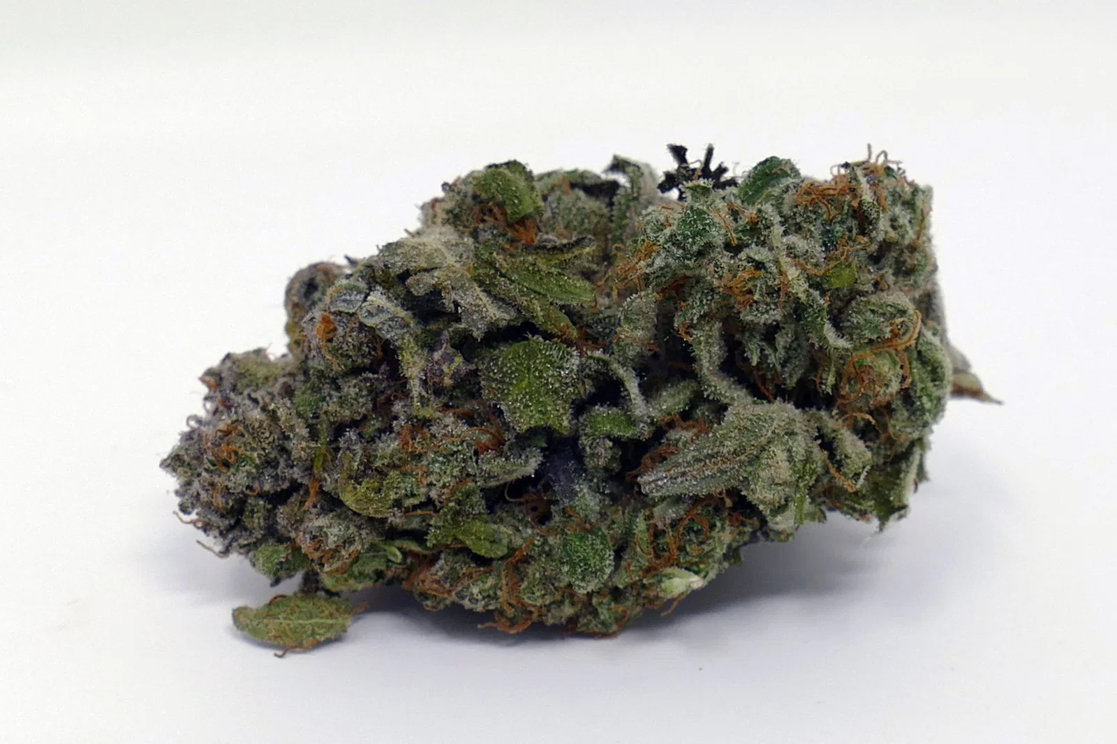 Jaffa Caked Cookies cannabis flower from the original UK review archive.