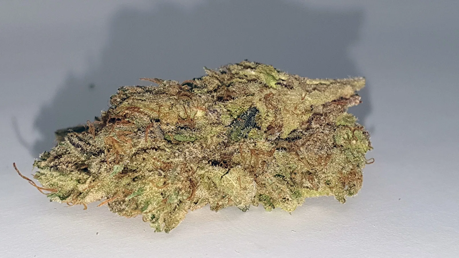Jaffacito cannabis flower from the original UK review archive.