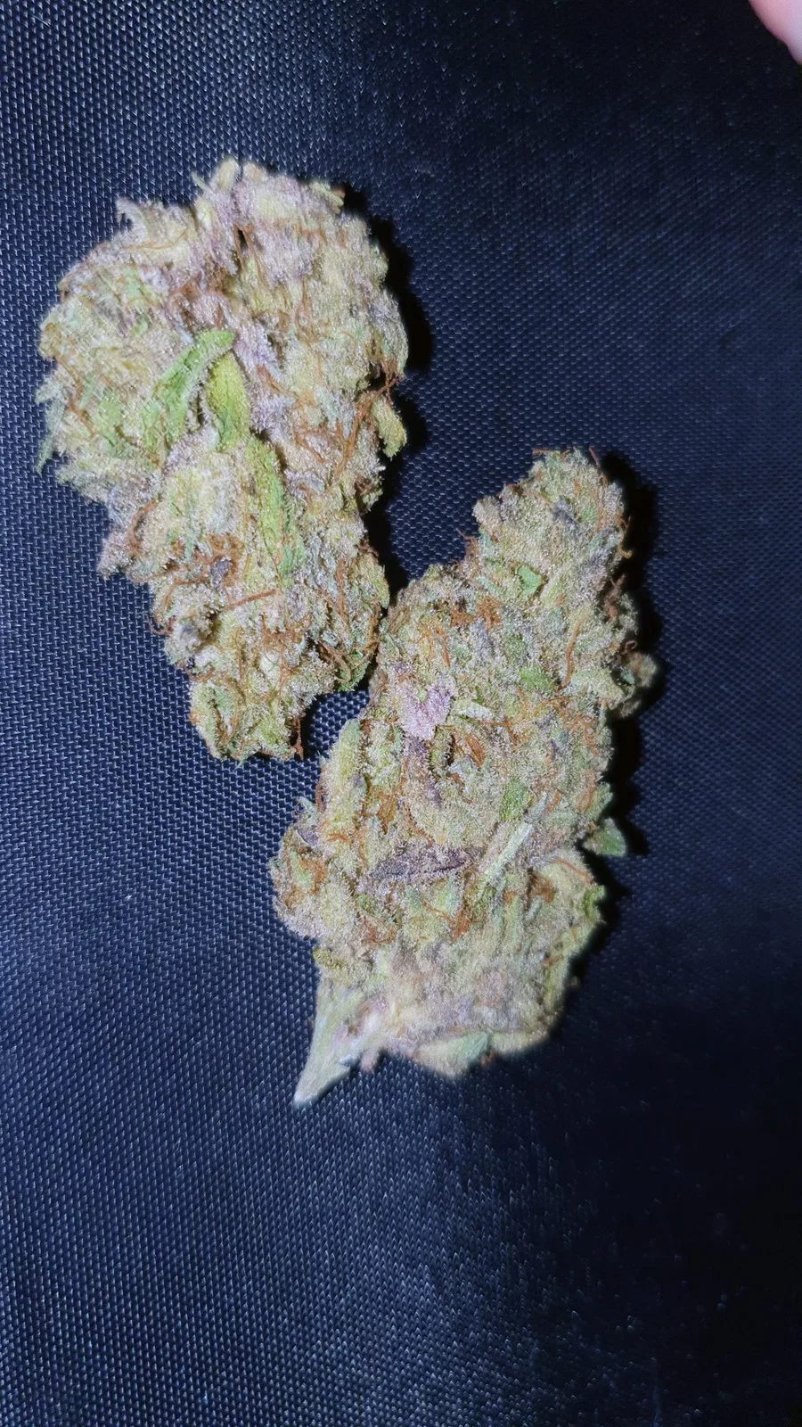 Jaffacito cannabis flower from the original UK review archive.