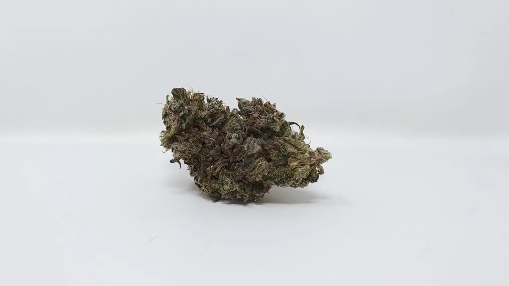 Kurokush cannabis flower from the original UK review archive.