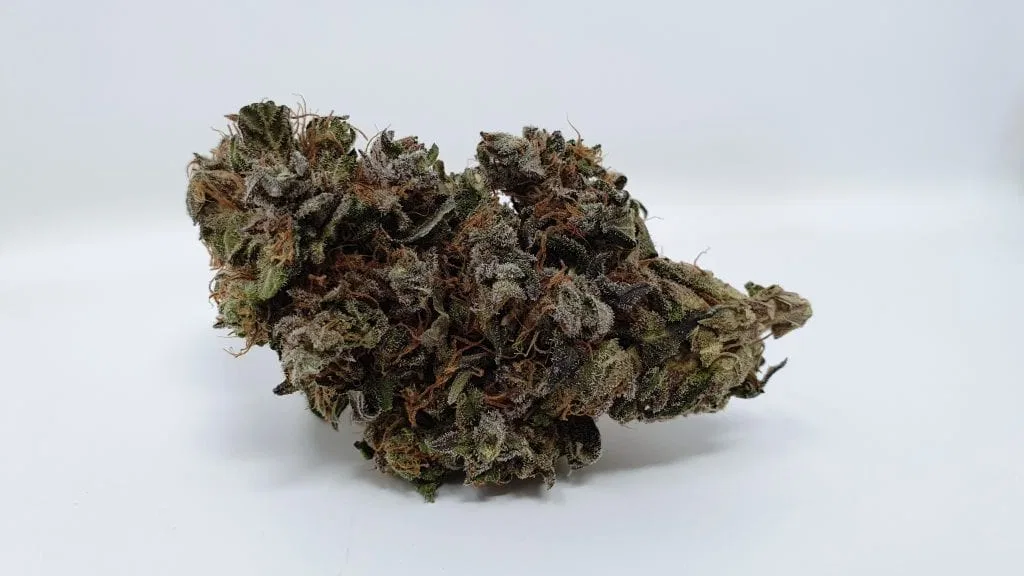 Kurokush cannabis flower from the original UK review archive.