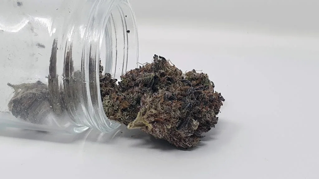 LA Kush Cake cannabis flower from the original UK review archive.