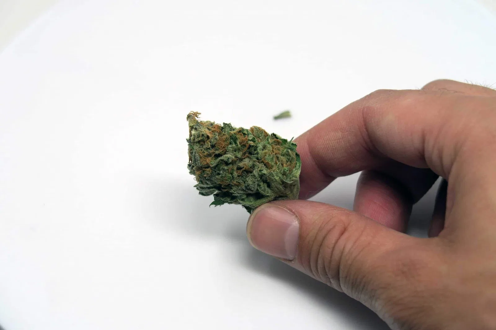 Lavender cannabis flower from the original UK review archive.