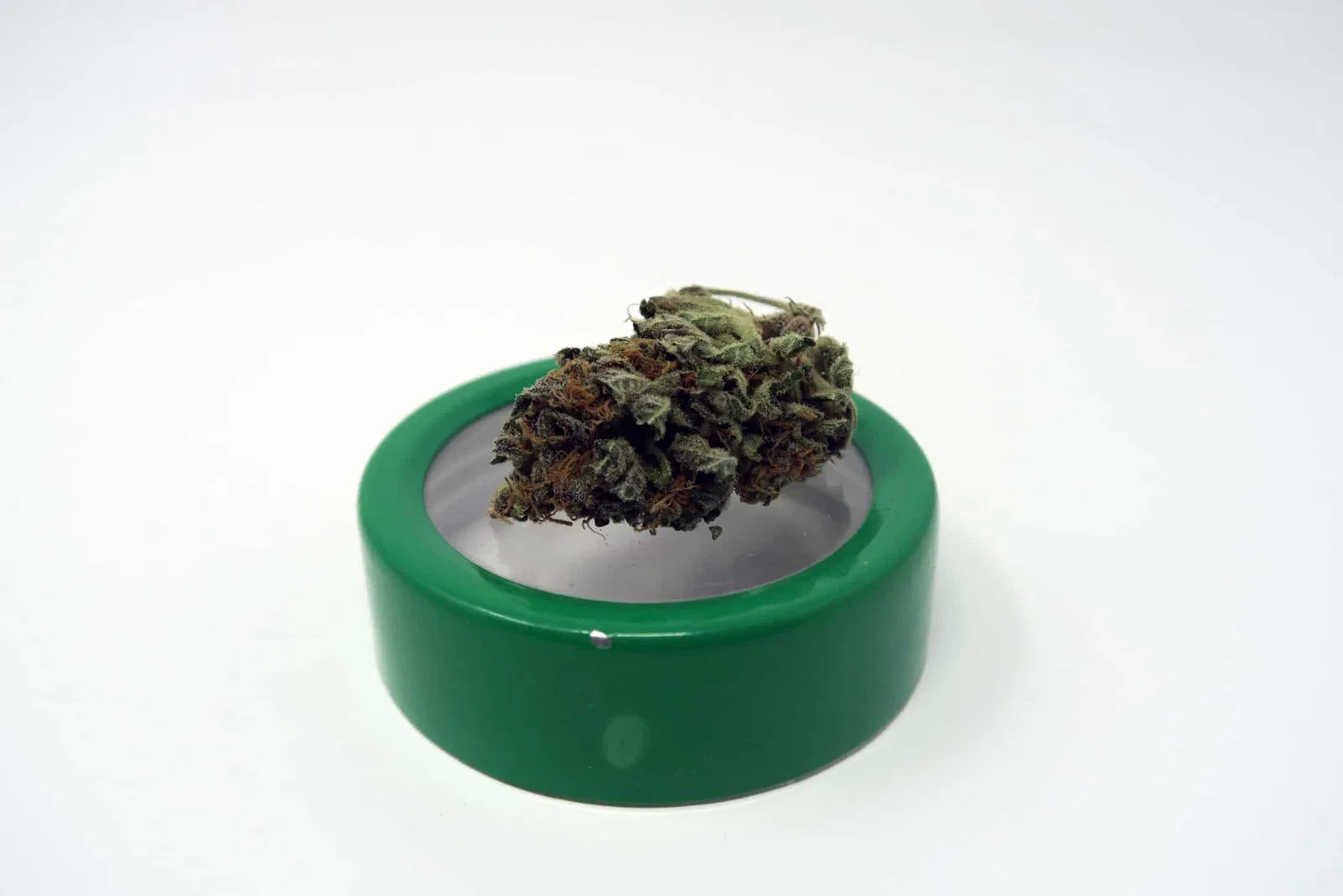 Lavender cannabis flower, shown as a similar-cultivar reference for Wappa; not Wappa