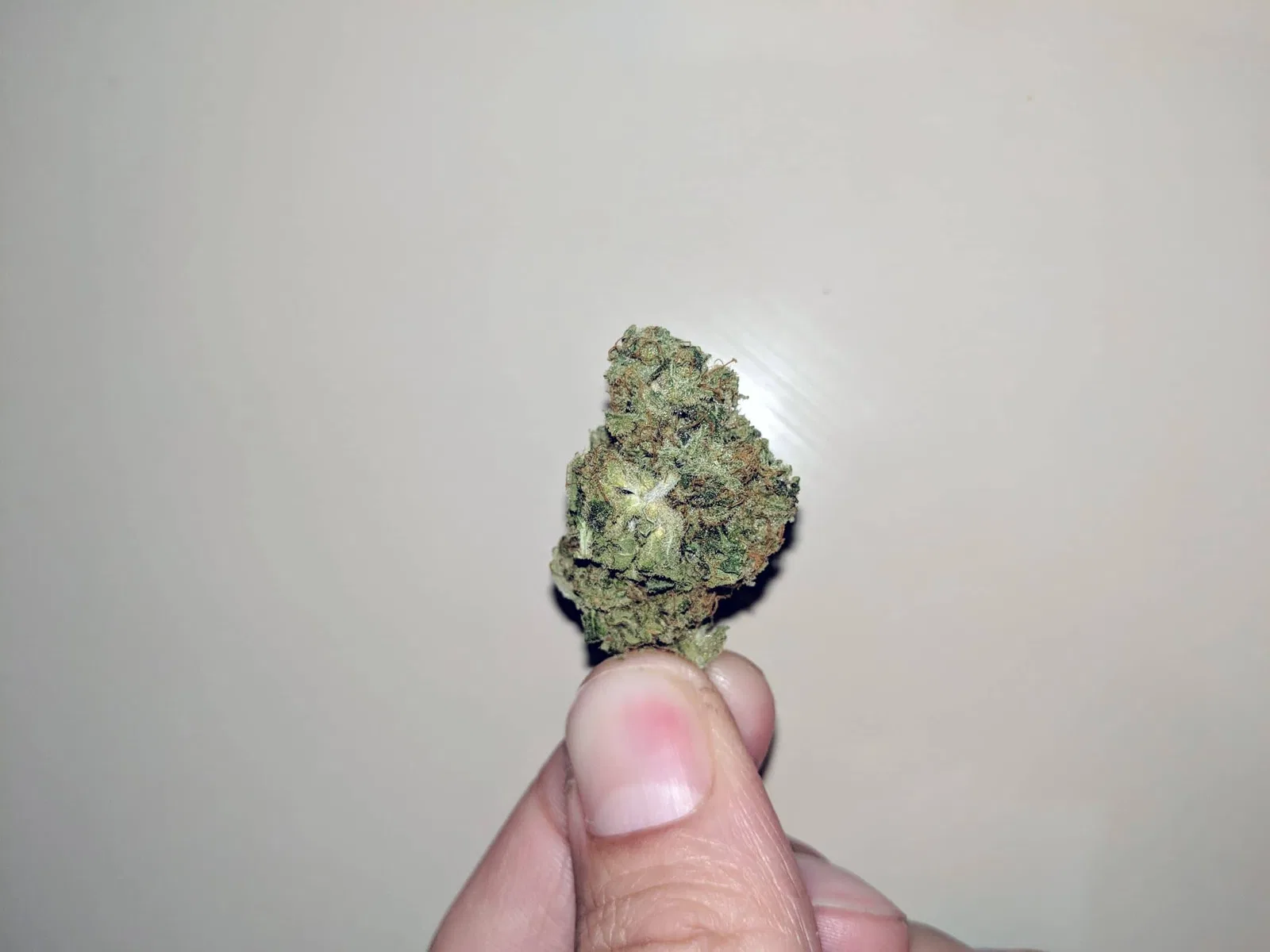 Lemon Haze CBD