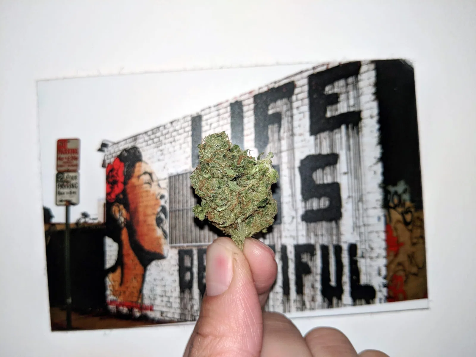 Lemon Haze CBD cannabis flower from the original UK review archive.