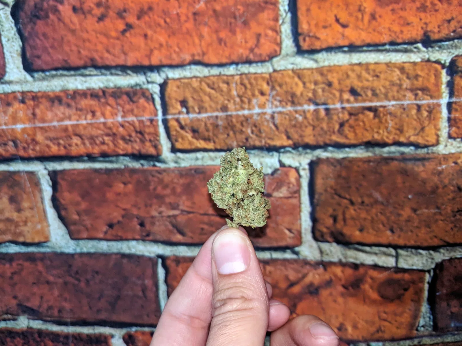 Lemon Haze CBD cannabis flower from the original UK review archive.