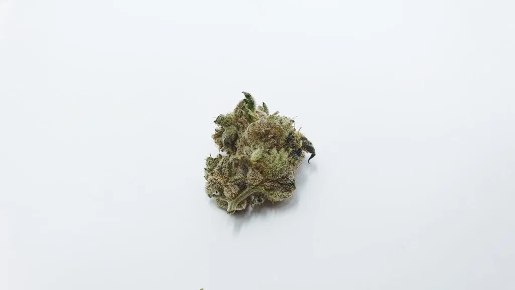 Lemon Lime Pie cannabis flower from the original UK review archive.