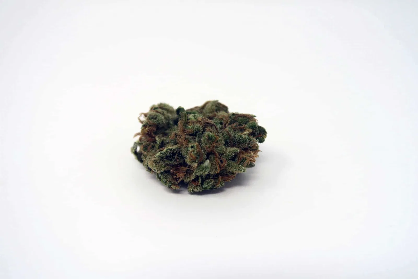 LSD cannabis flower, shown as a similar-cultivar reference for WiFi OG; not WiFi OG
