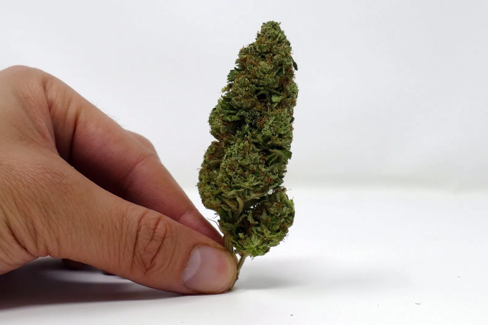 Marmalade cannabis flower from the original UK review archive.