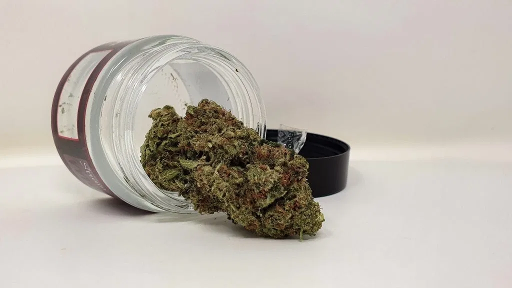 Marmalade cannabis flower from the original UK review archive.