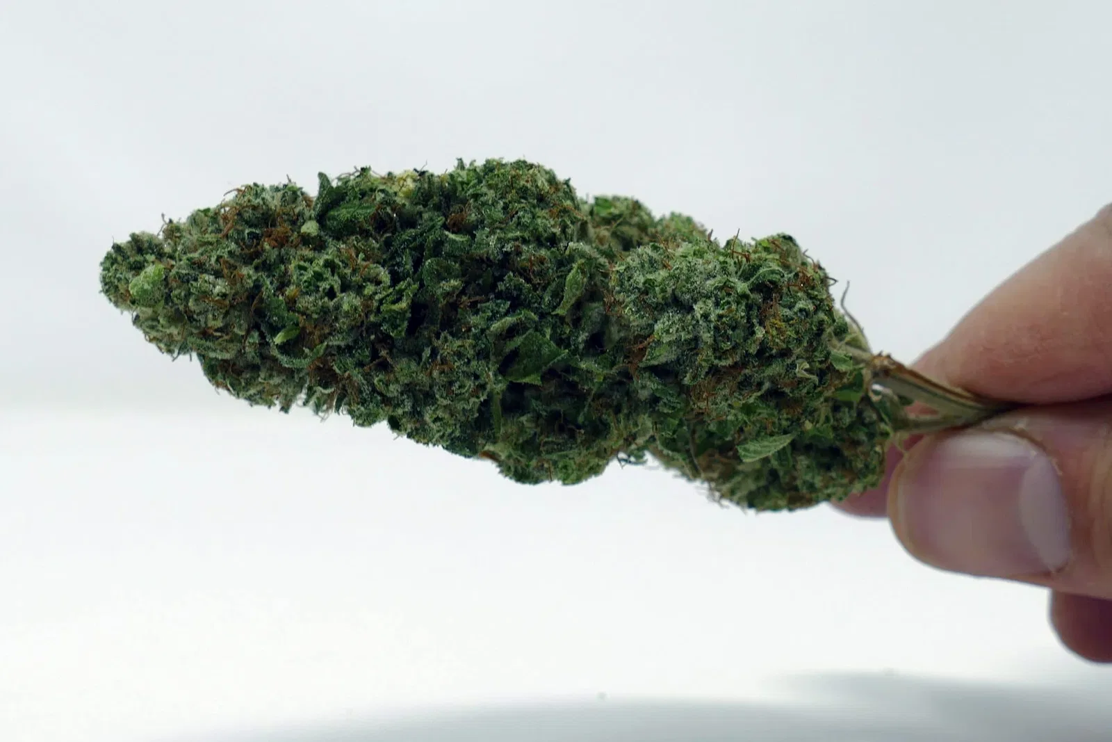 Marmalade cannabis flower from the original UK review archive.
