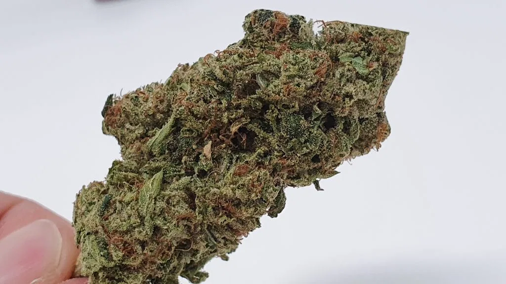 Marmalade cannabis flower from the original UK review archive.