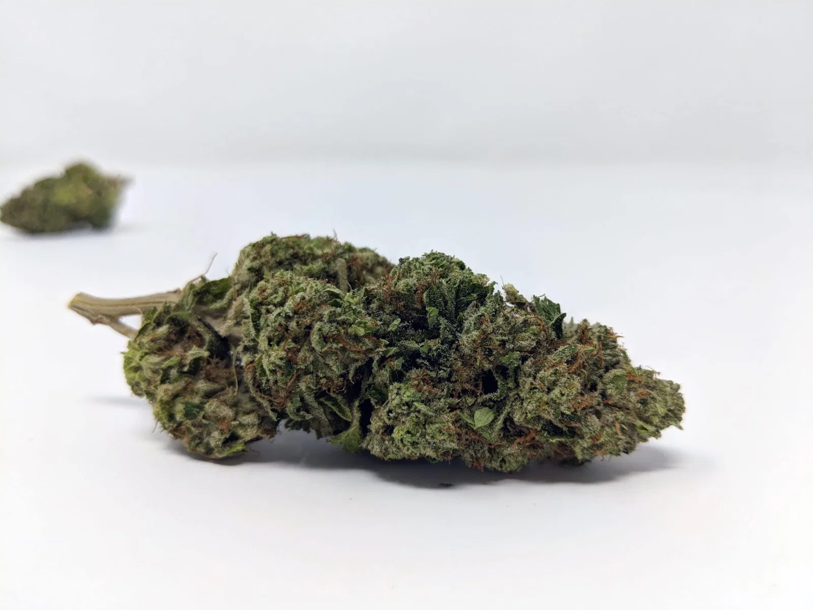 Marmalade cannabis flower from the original UK review archive.