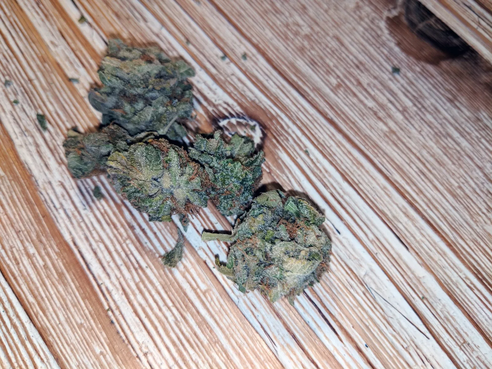 Mataro Blue cannabis flower from the original UK review archive.