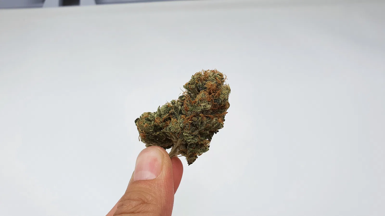 Melon Face cannabis flower, shown as a similar-cultivar reference for Watermelon Z; not Watermelon Z