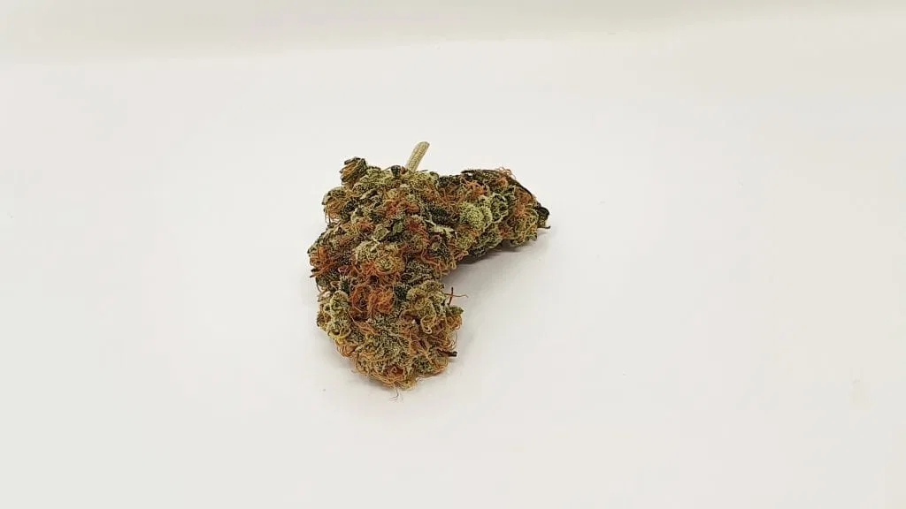 Melon Face cannabis flower from the original UK review archive.