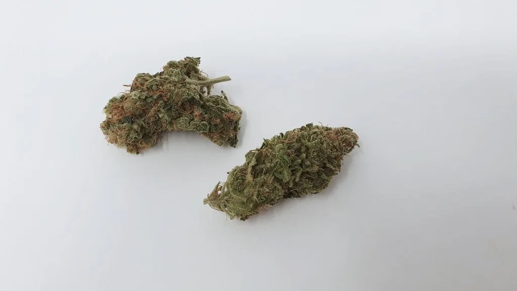 Melon Face cannabis flower from the original UK review archive.