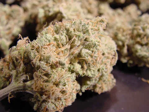 Nebula cannabis flower from the original UK review archive.