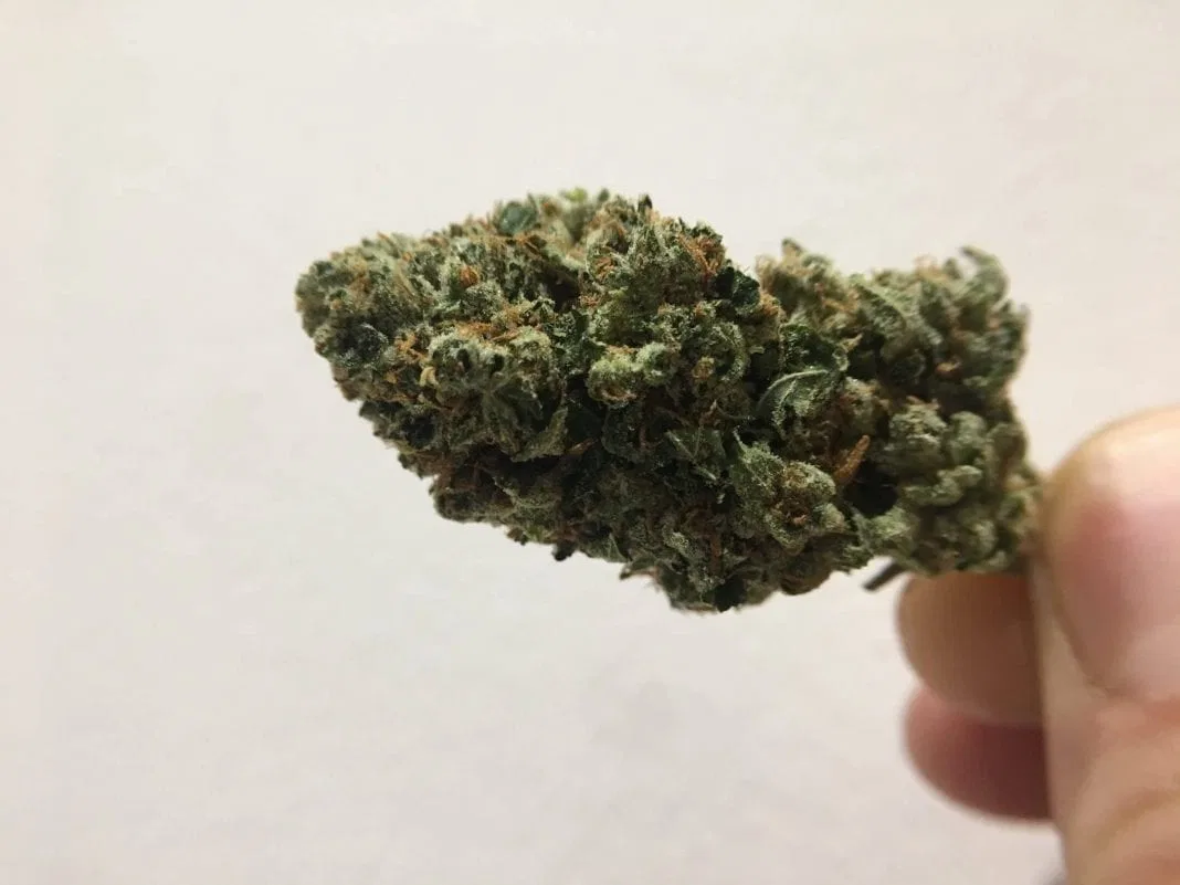 OG #18 cannabis flower from the original UK review archive.