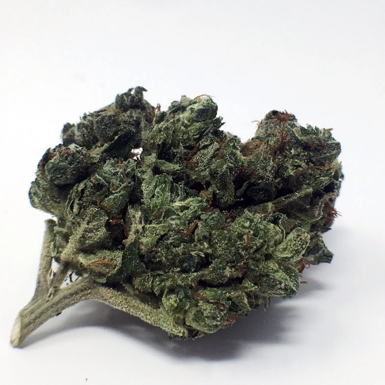Orange Diesel V3 [ODV3] cannabis flower from the original UK review archive.