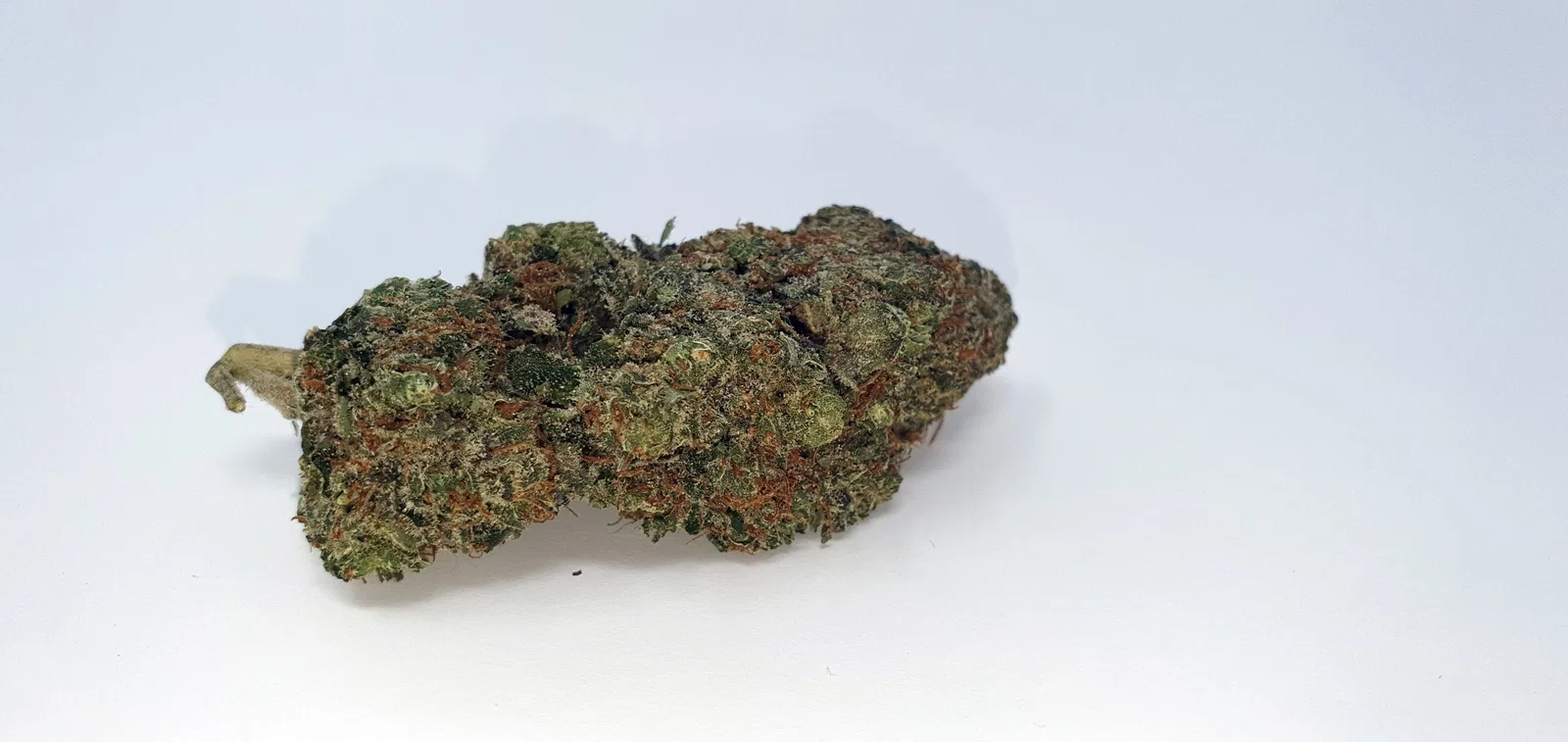 Orange Slush cannabis flower from the original UK review archive.