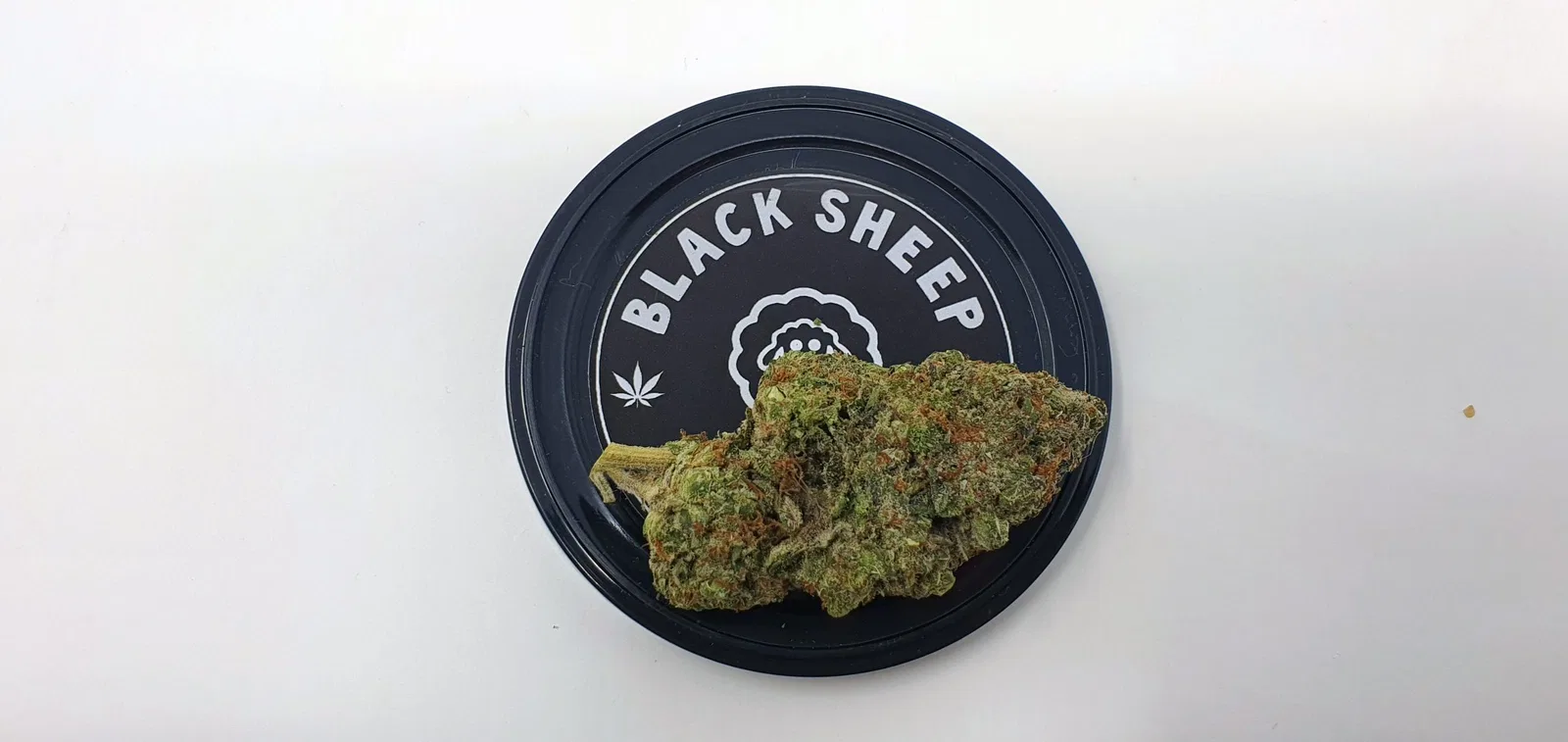 Orange Slush cannabis flower from the original UK review archive.