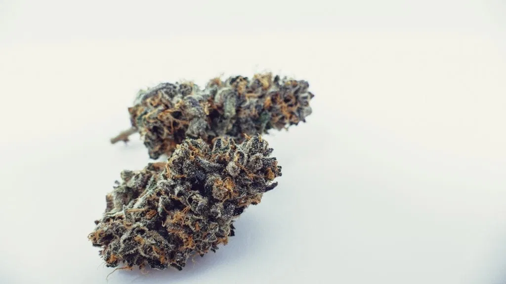 OZK cannabis flower from the original UK review archive.