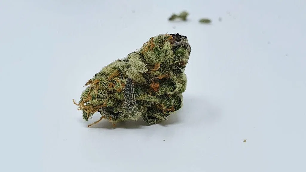 Peach Ozz cannabis flower from the original UK review archive.