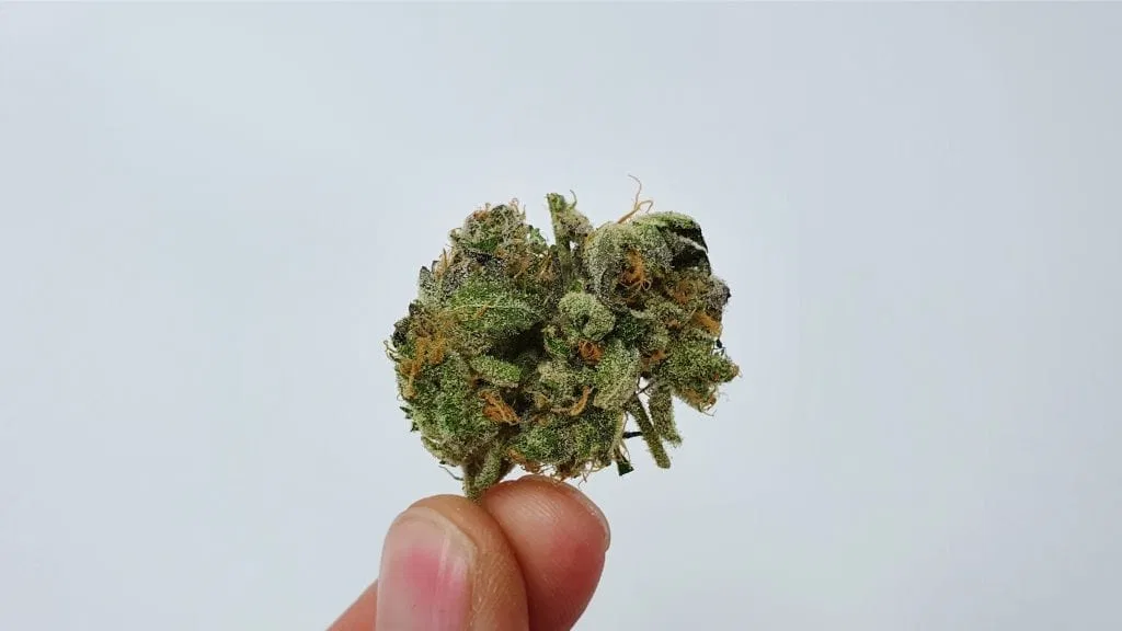 Peach Ozz cannabis flower from the original UK review archive.