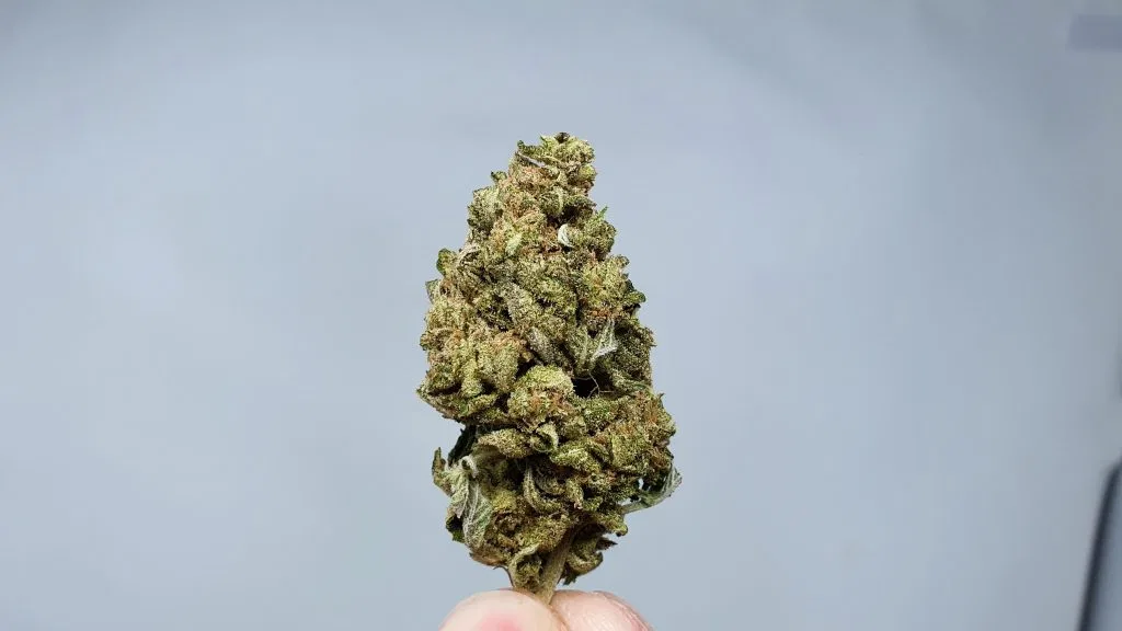 Phantom OG cannabis flower from the original UK review archive.