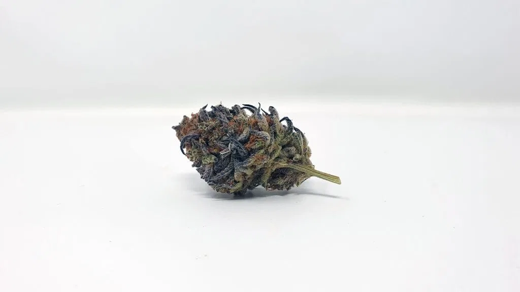 Platinum Jelly cannabis flower from the original UK review archive.