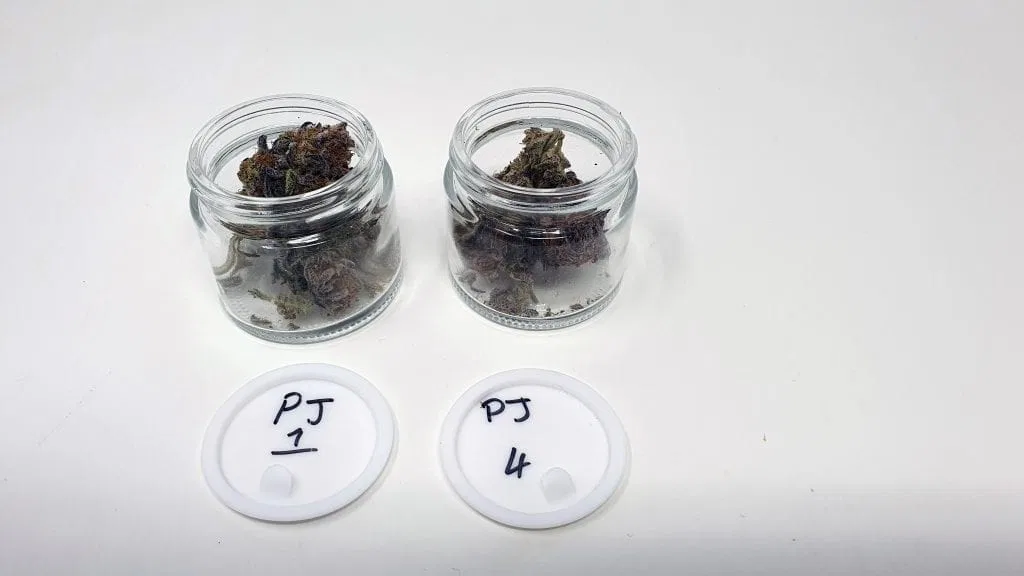 Platinum Jelly cannabis flower from the original UK review archive.