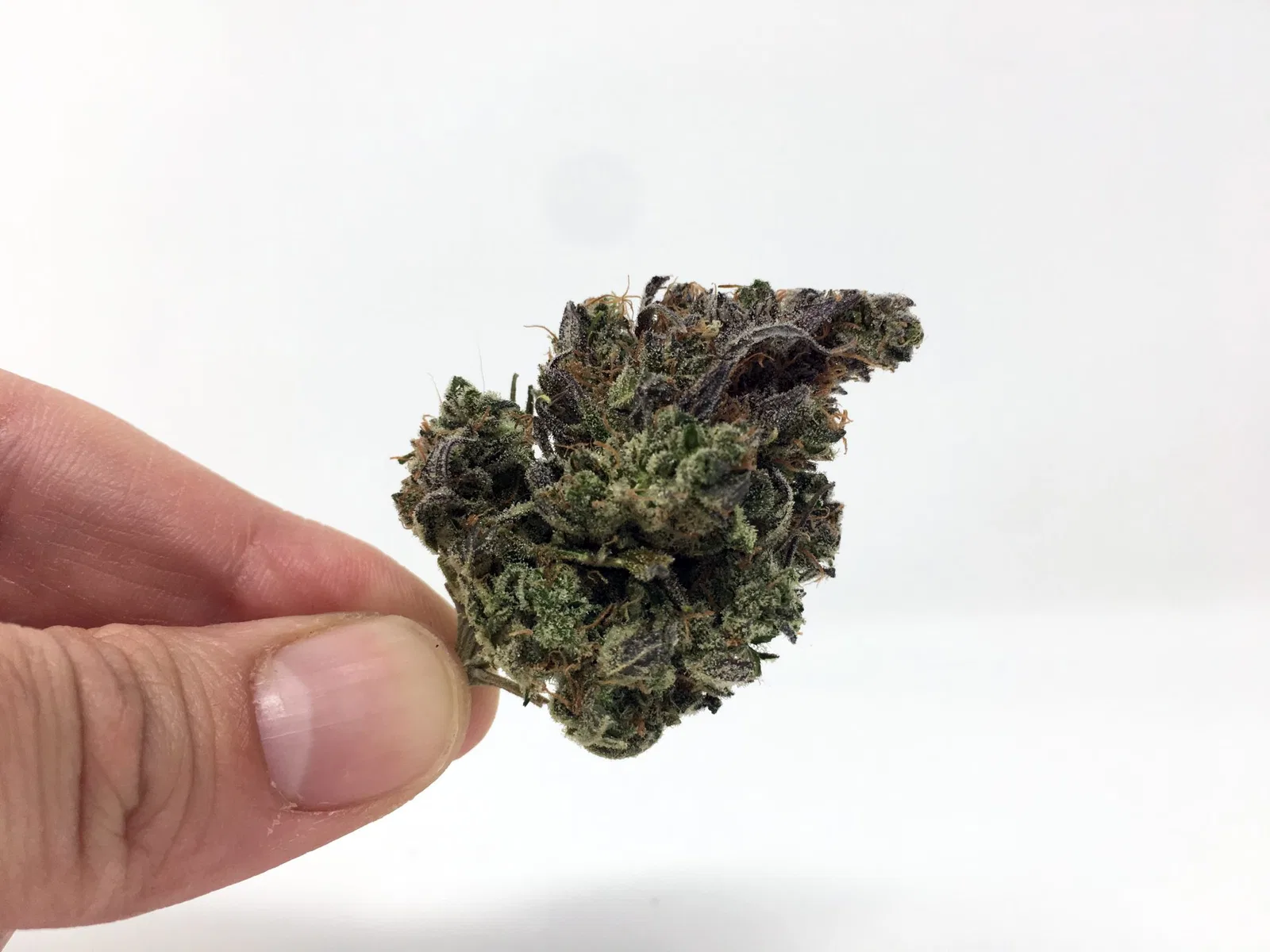 Psycho Citrus cannabis flower from the original UK review archive.