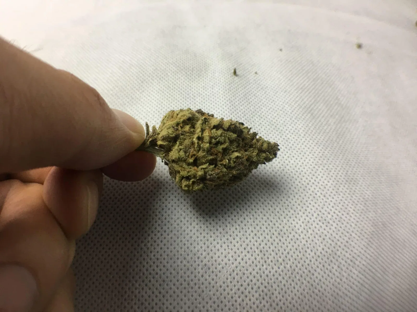 Purple Mother of Berries cannabis flower from the original UK review archive.