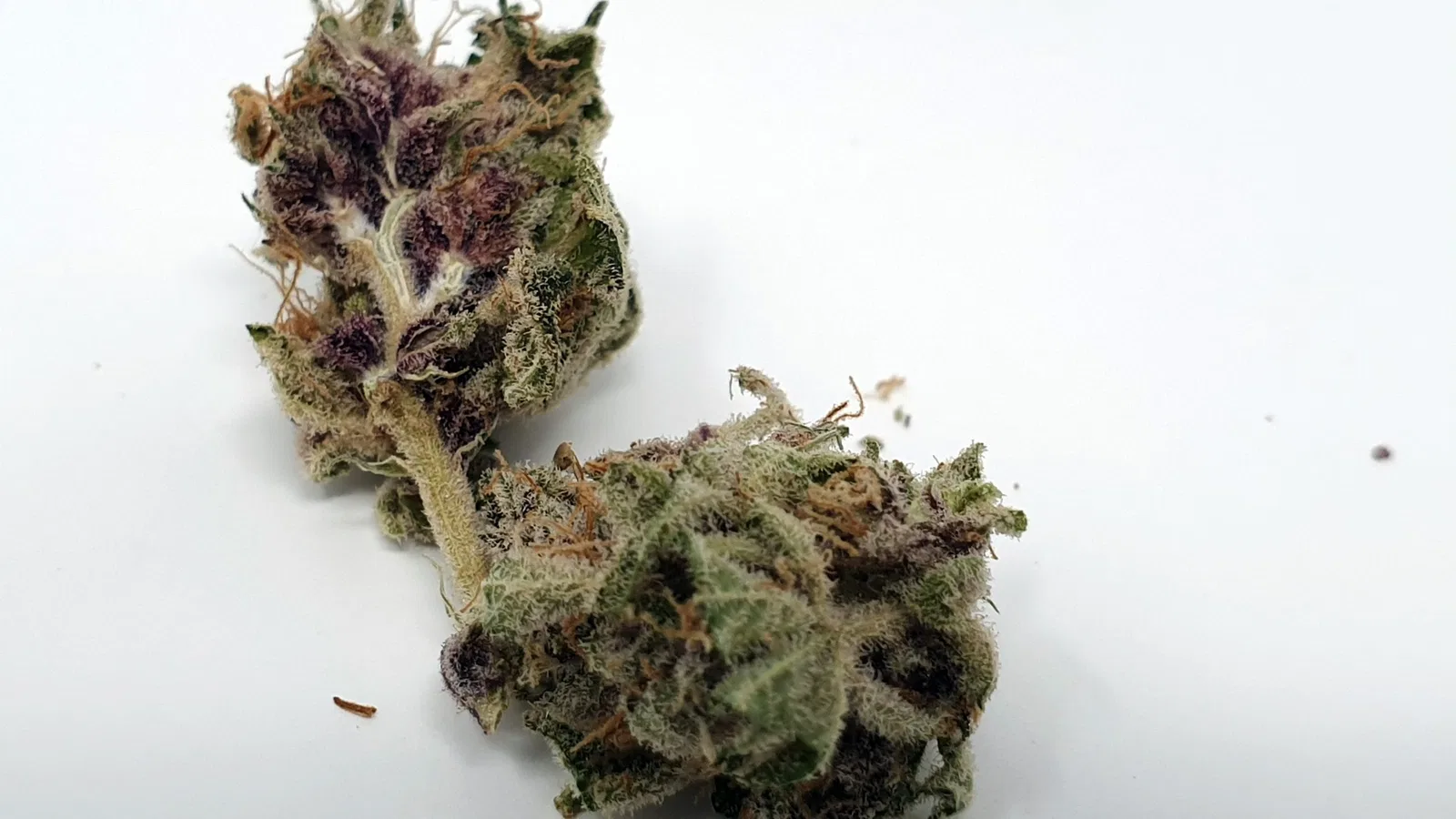 Purple Punch cannabis flower from the original UK review archive.