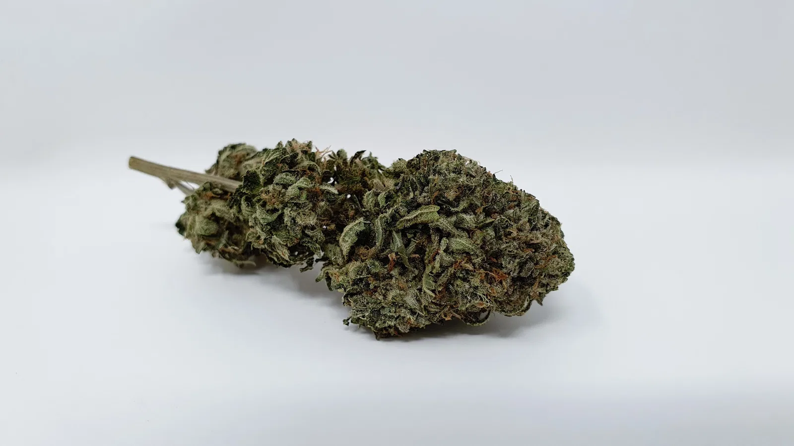 Rainbow Belts cannabis flower from the original UK review archive.