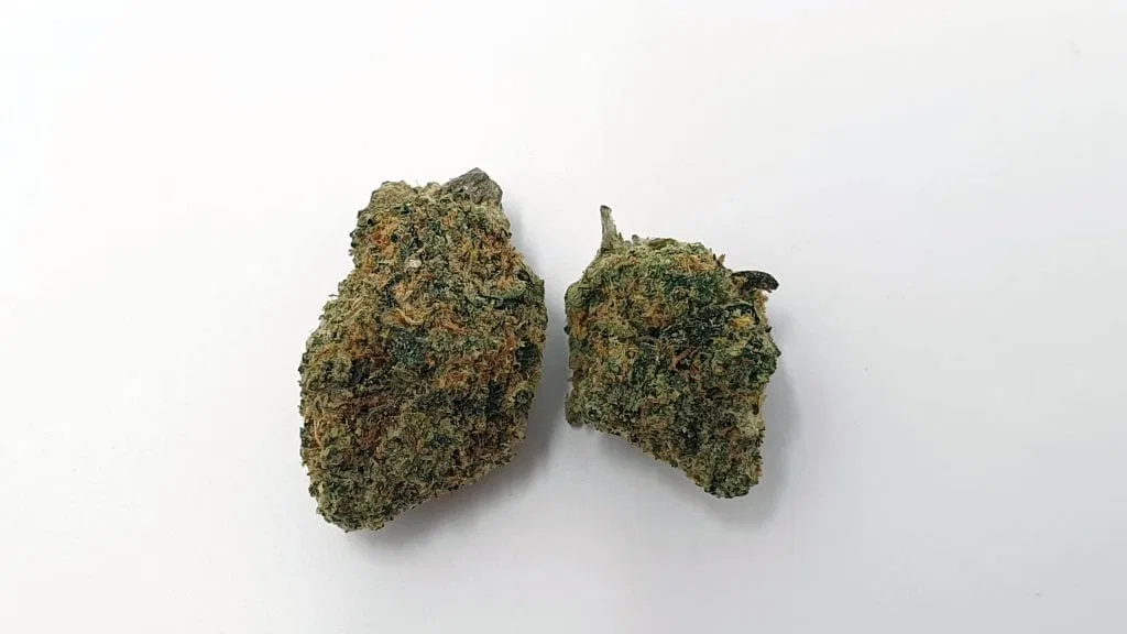 Rainbow Sherbet (Deo Farms) cannabis flower from the original UK review archive.