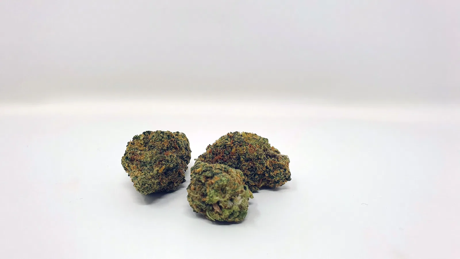 Rainbow Sherbet (Deo Farms)