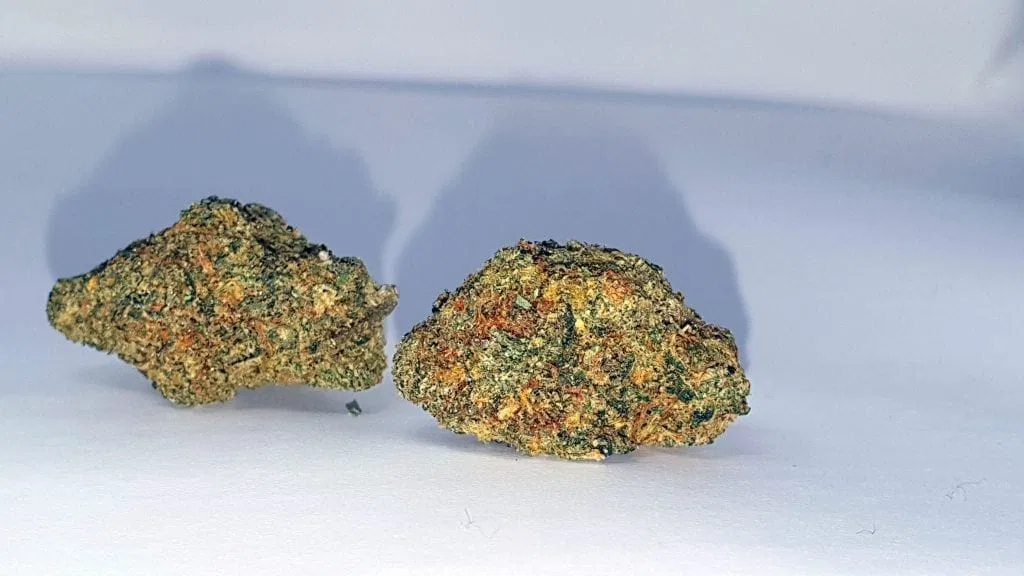Rainbow Sherbet (Deo Farms) cannabis flower from the original UK review archive.