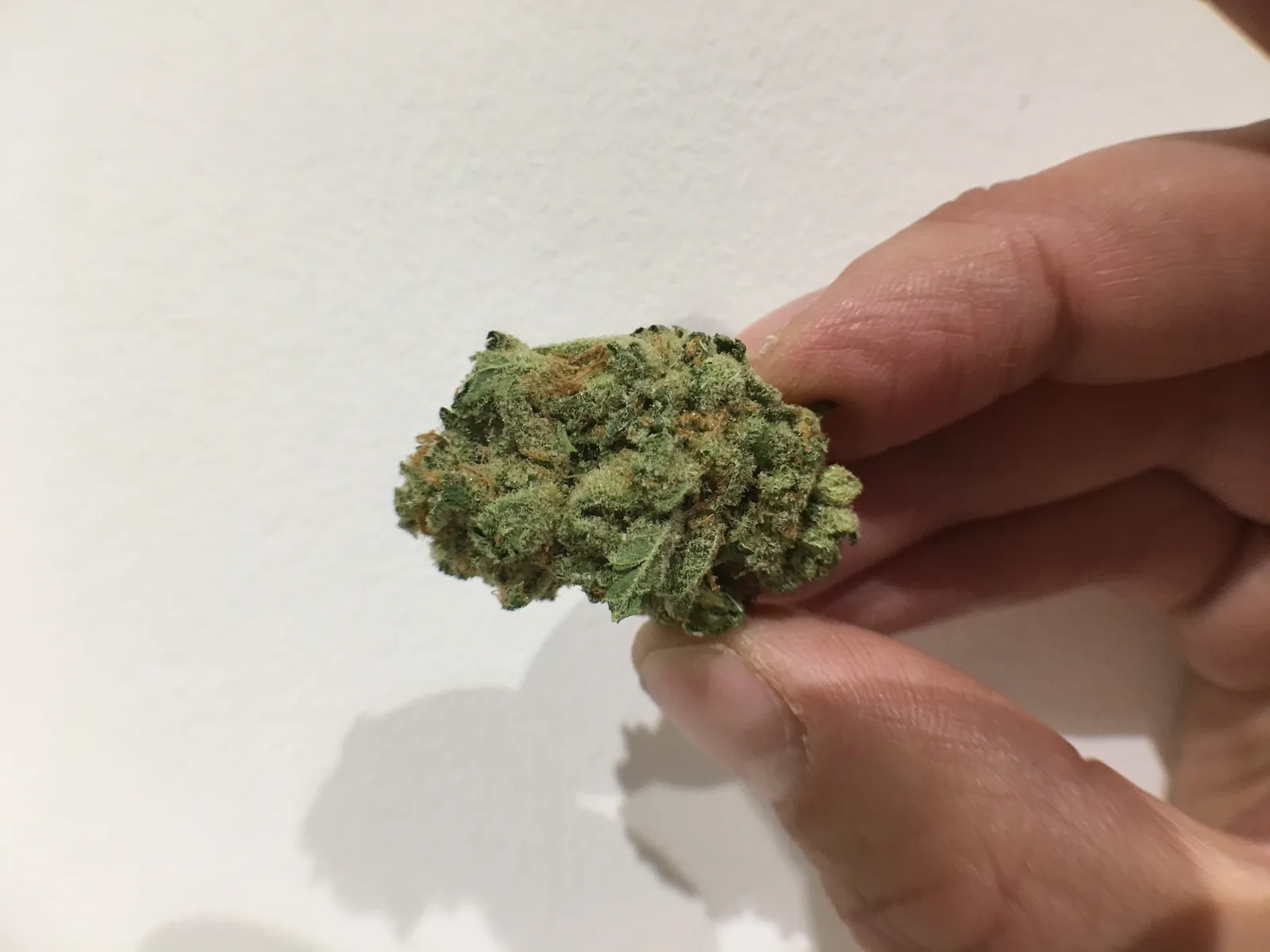 S5 Haze