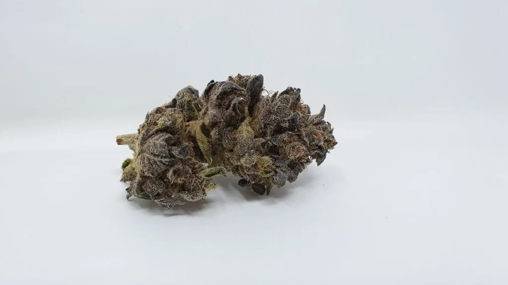 Sherb Crasher cannabis flower from the original UK review archive.