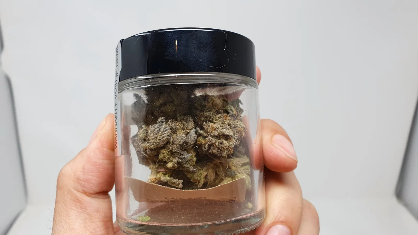 Sherb Crasher cannabis flower from the original UK review archive.