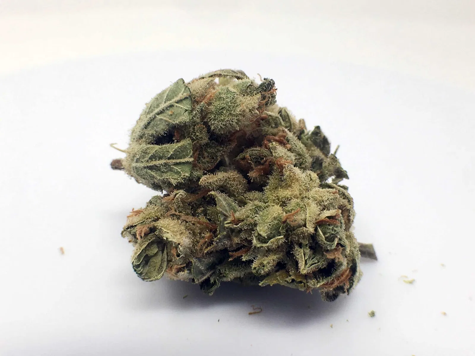 Silver Bubble cannabis flower from the original UK review archive.