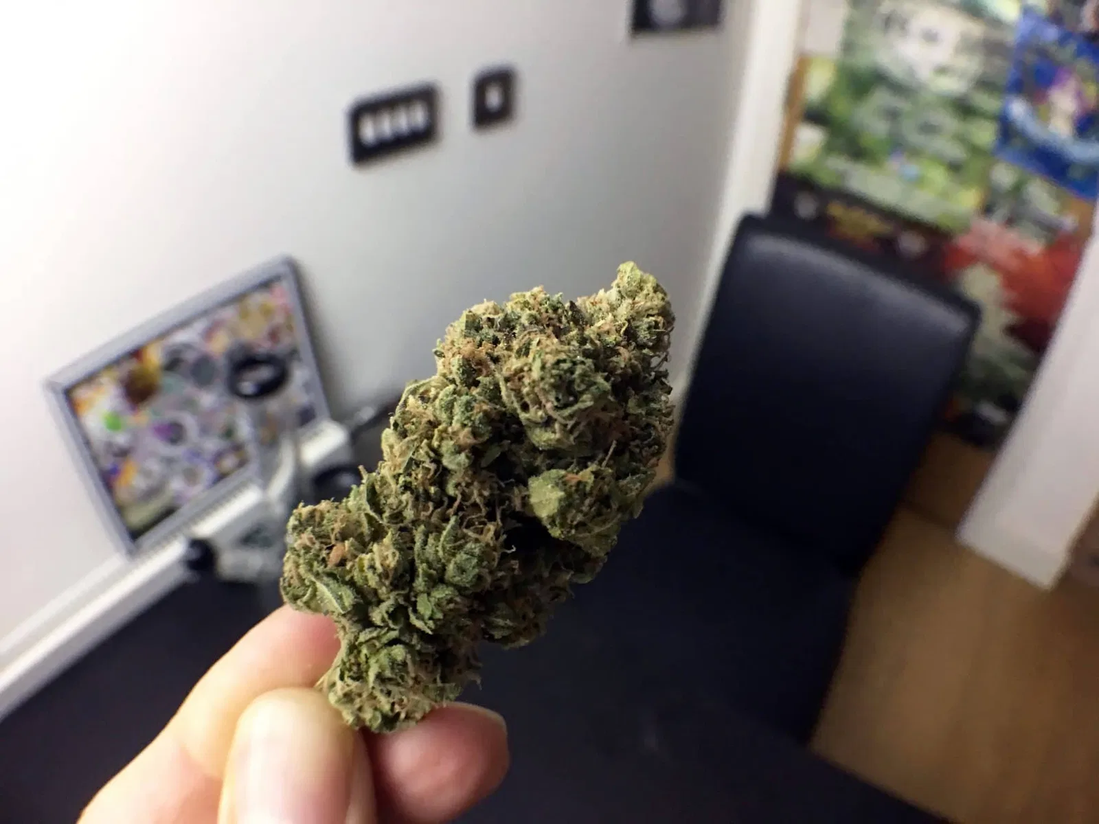 Skywalker OG cannabis flower from the original UK review archive.